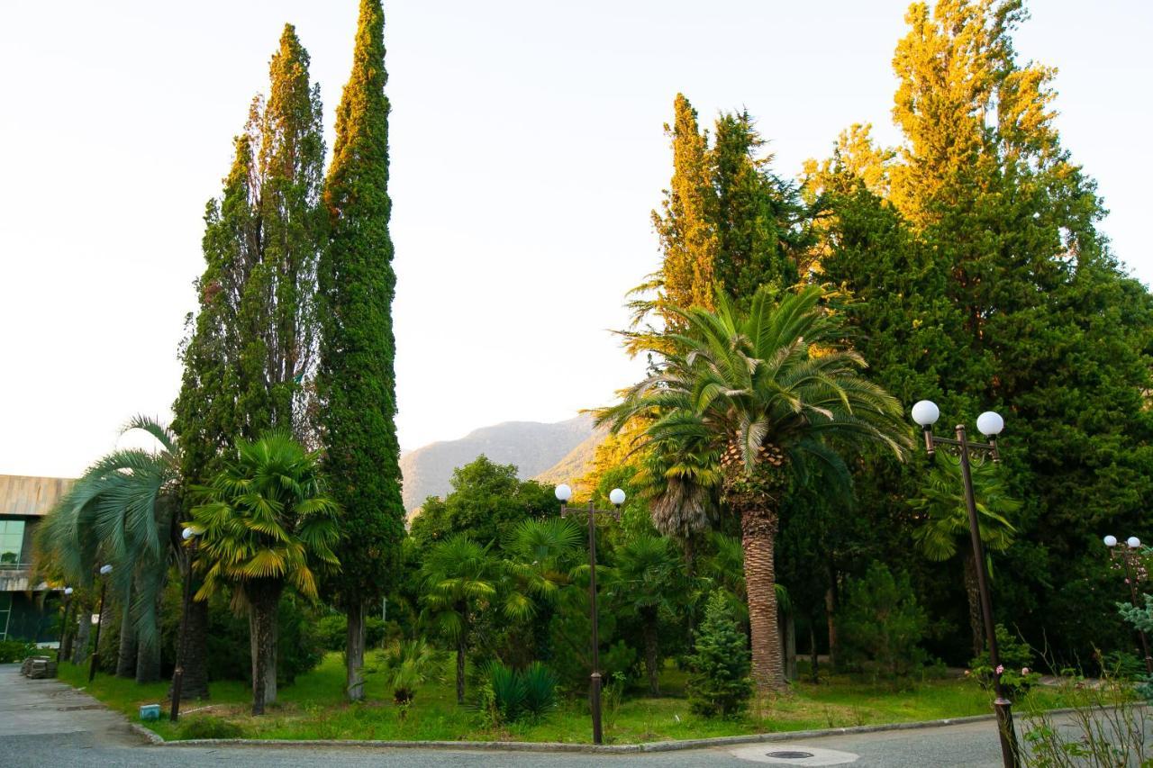 Amza Park Hotel Gagra Kültér fotó