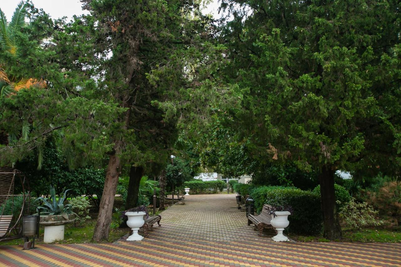 Amza Park Hotel Gagra Kültér fotó